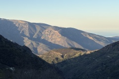 IMG_8705