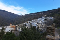 IMG_20260314_081449