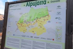 IMG_20260314_082944