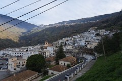 IMG_20260314_091142