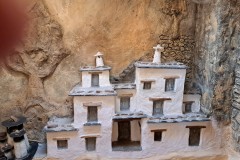 IMG_20260314_171256